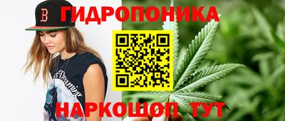 гидропоника Бугуруслан