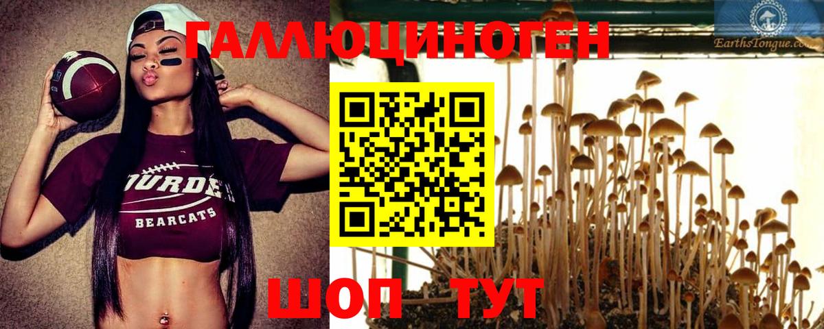 Галлюциногенные грибы ЛСД  Псилоцибиновые грибы MAGIC MUSHROOMS  Борзя  Вход с VPN 